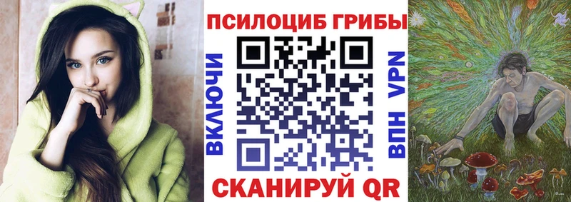 где продают   OMG ССЫЛКА  Галлюциногенные грибы ЛСД  Высоцк 