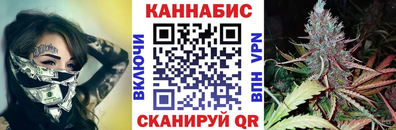Бошки марихуана конопля  Высоцк 
